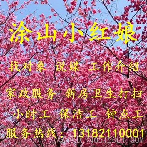 涂山小红娘招红娘