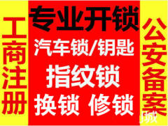 专业上门开锁防盗门换锁芯配汽车钥匙开汽车锁开保险柜的图标